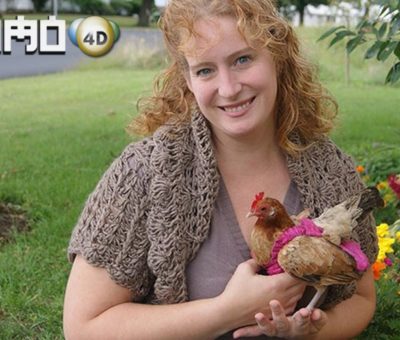 Bisnis Popok Ayam, Omsetnya Bikin Geleng Kepala