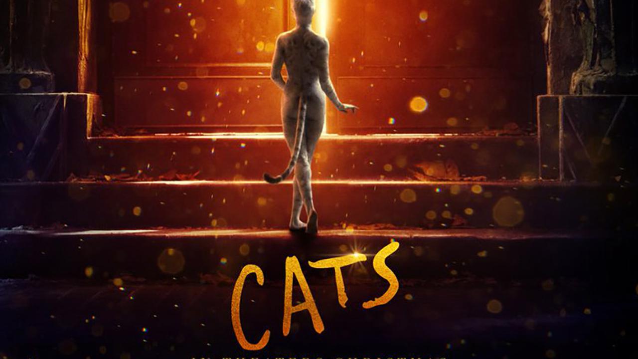 Hanya Ikuti Satu Akun Twitter, Film Cats Curi Perhatian Warganet
