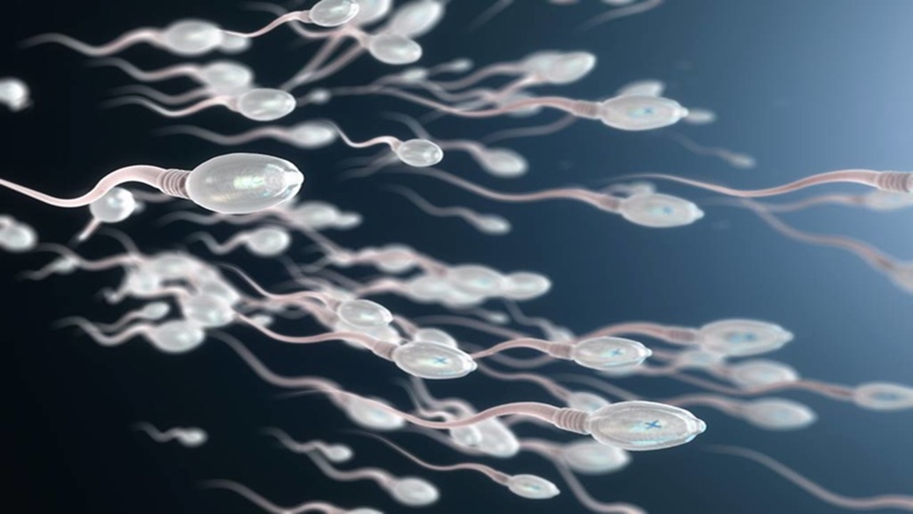 Pelemparaan Sperma Ke Wajah Wanita Di Tasikmalaya