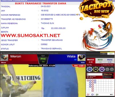 BUKTI JACKPOT SABUNG AYAM Rp 22.000.000 MEMBER SUMO4D